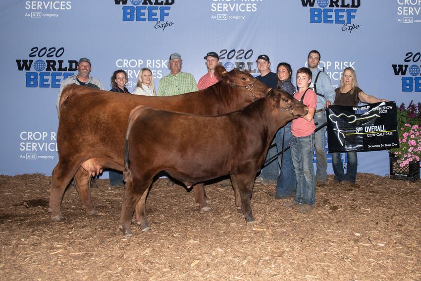 Champion Cow Calf Pairs