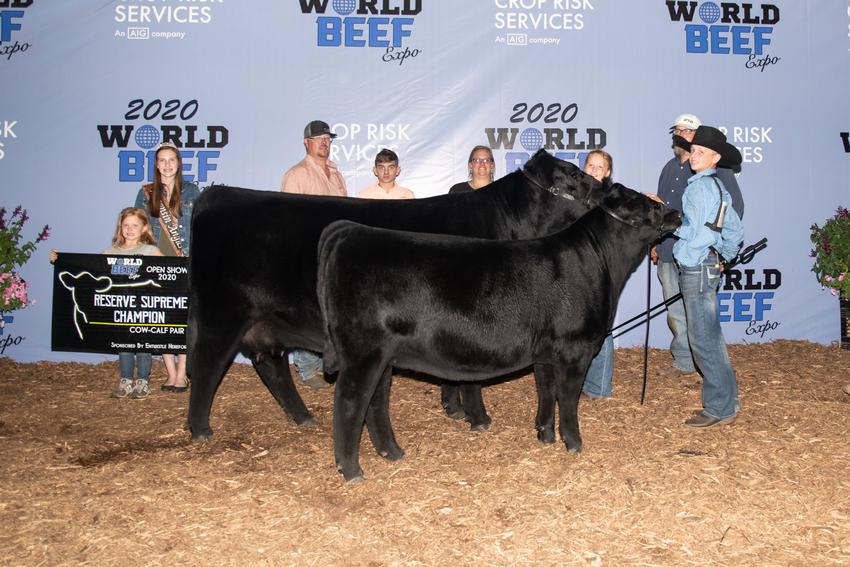 Champion Cow Calf Pairs