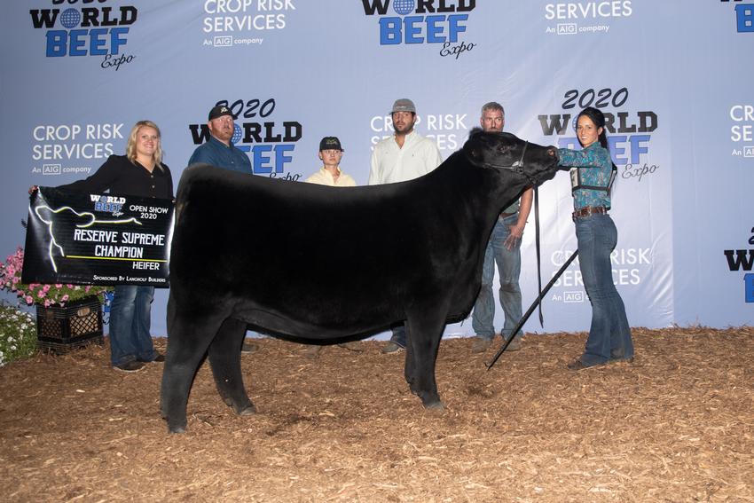 Champion Heifers